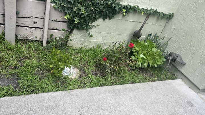 Property Photo:  24158 Dover Lane  CA 94541 