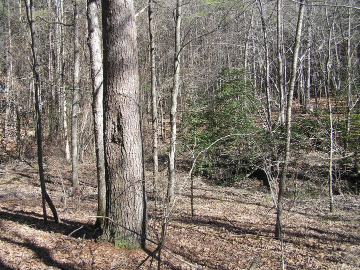 Property Photo:  151 Indian Trails Drive  TN 38585 