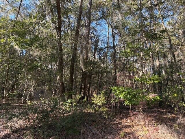 Property Photo: 0 Trade Hill Road GA 31320