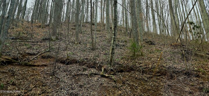 Property Photo:  Emerald Springs Loop  TN 37862 