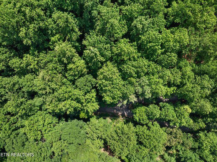 Property Photo:  Emerald Springs Loop  TN 37862 