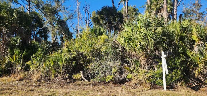 Property Photo:  12006 Coleman Avenue  FL 33981 
