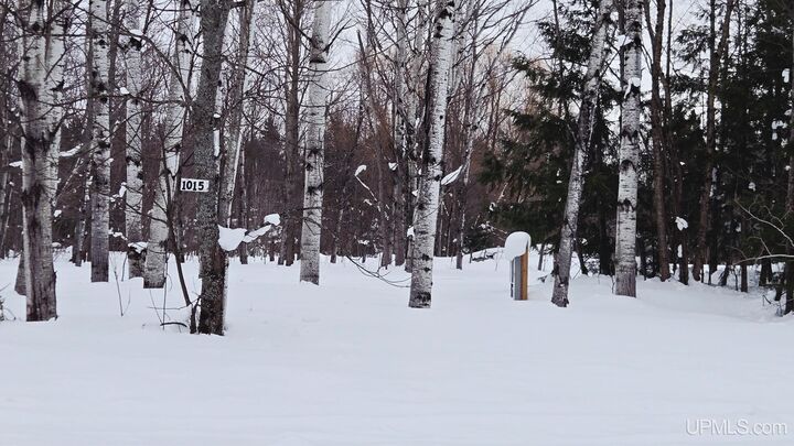 Property Photo:  Tbd Michigan Avenue  MI 49971 