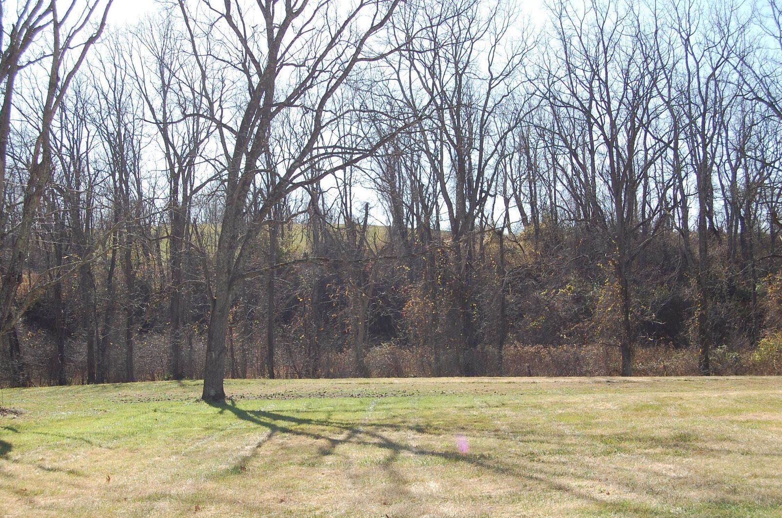 Property Photo:  6394 Vinson Lane  VA 24084 
