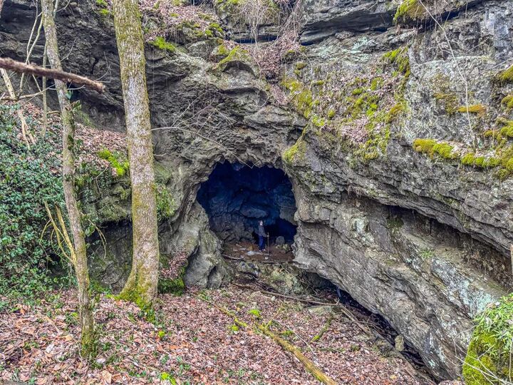 Property Photo:  7942 Priceville Road  KY 42722 