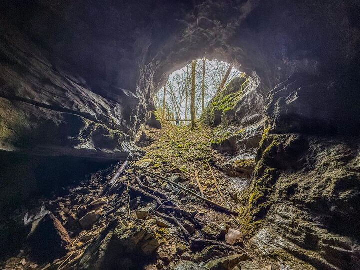 Property Photo:  7942 Priceville Road  KY 42722 