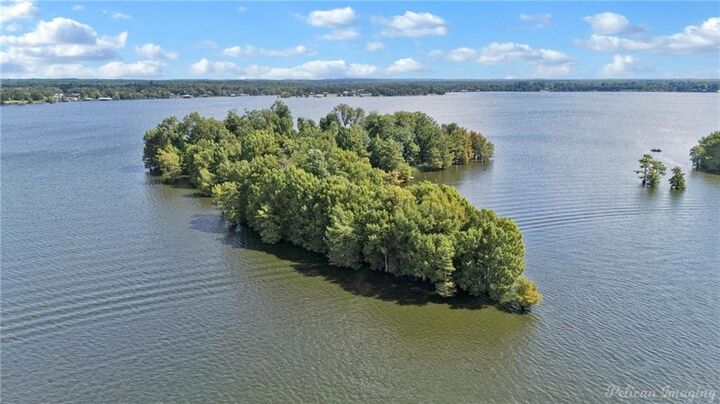 Property Photo: 0 Bird Island LA 71119