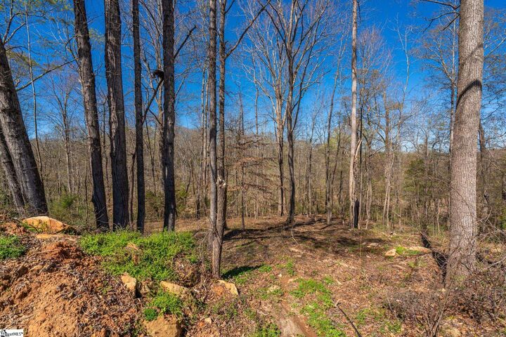 Property Photo:  5 Bagwell Place  SC 29302 