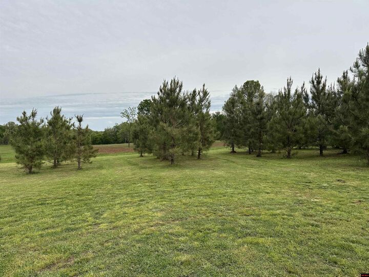 Property Photo:  001-01932-000 Mc 7055  AR 72634 