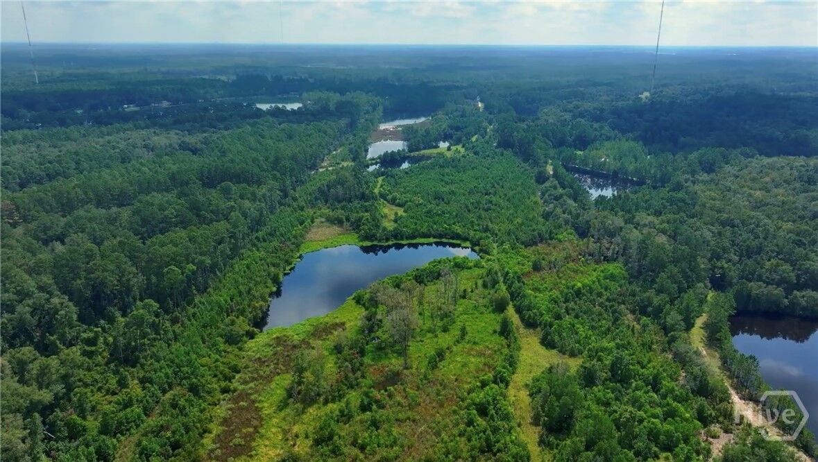 Property Photo:  0 Fort Argyle Road  GA 31419 