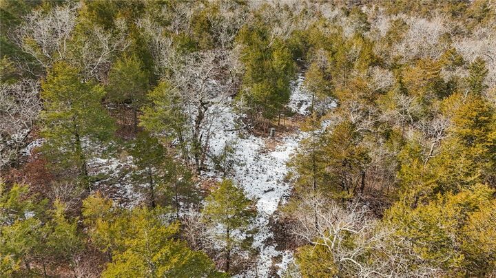 Property Photo:  Tbd Spidercreek Road  AR 72732 