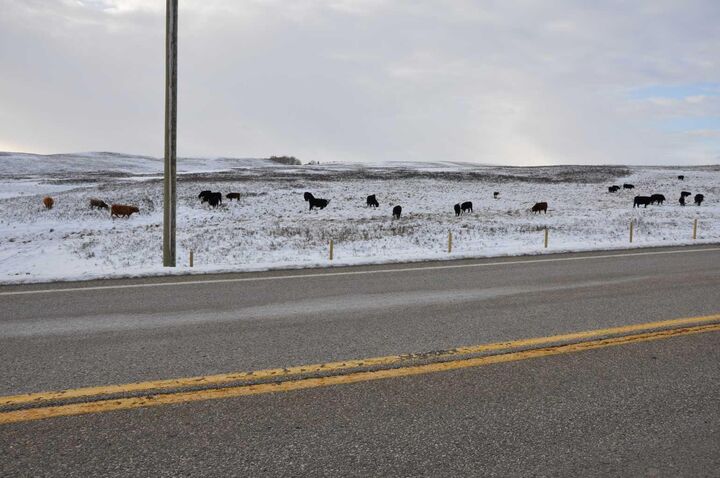Property Photo: Range Road 14 Big Hill Springs AB T0T 0T0