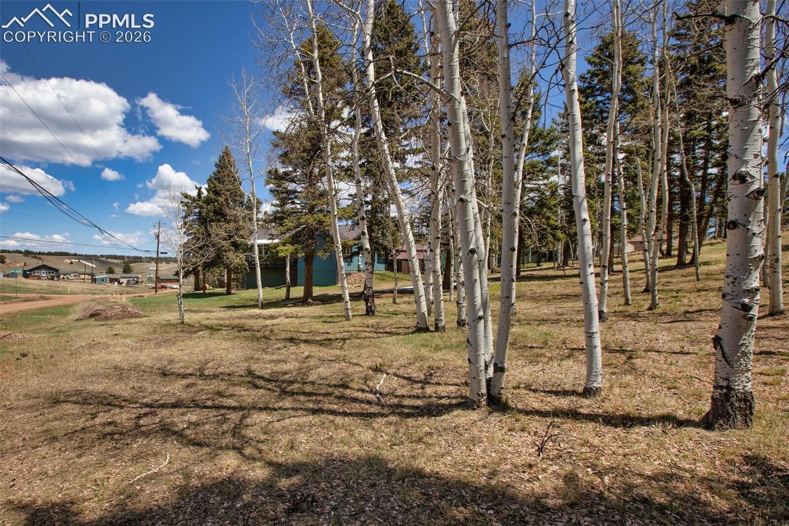 Property Photo: 571 Will Scarlet Drive CO 80814