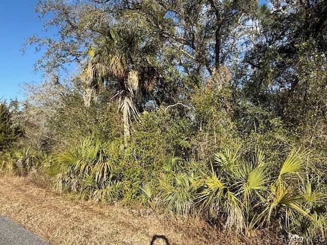 Property Photo:  85 N West Avenue  FL 34453 