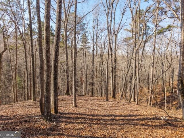 Property Photo: 1884 Finale Street GA 30175