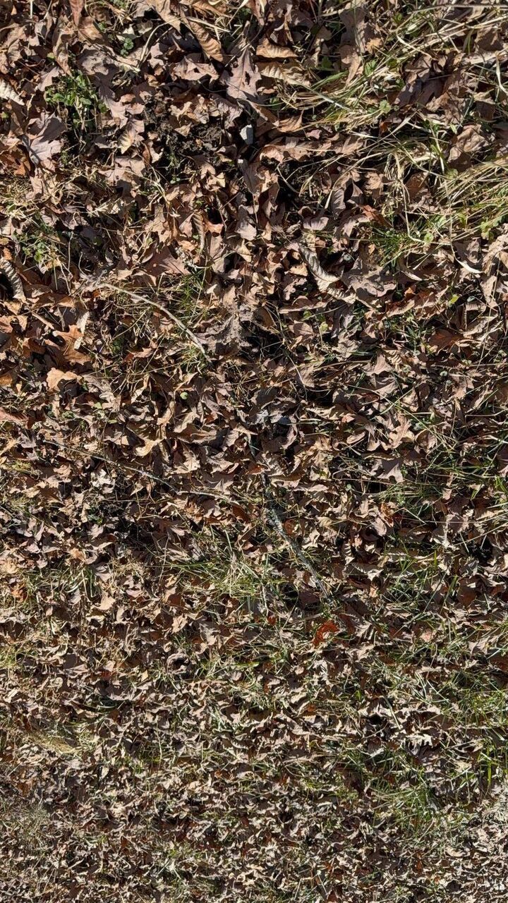 Property Photo:  122 Hickory Hollow Road  TN 38572 