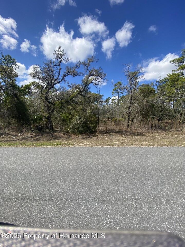 Property Photo:  14312 Dusky Warbler Road  FL 34614 