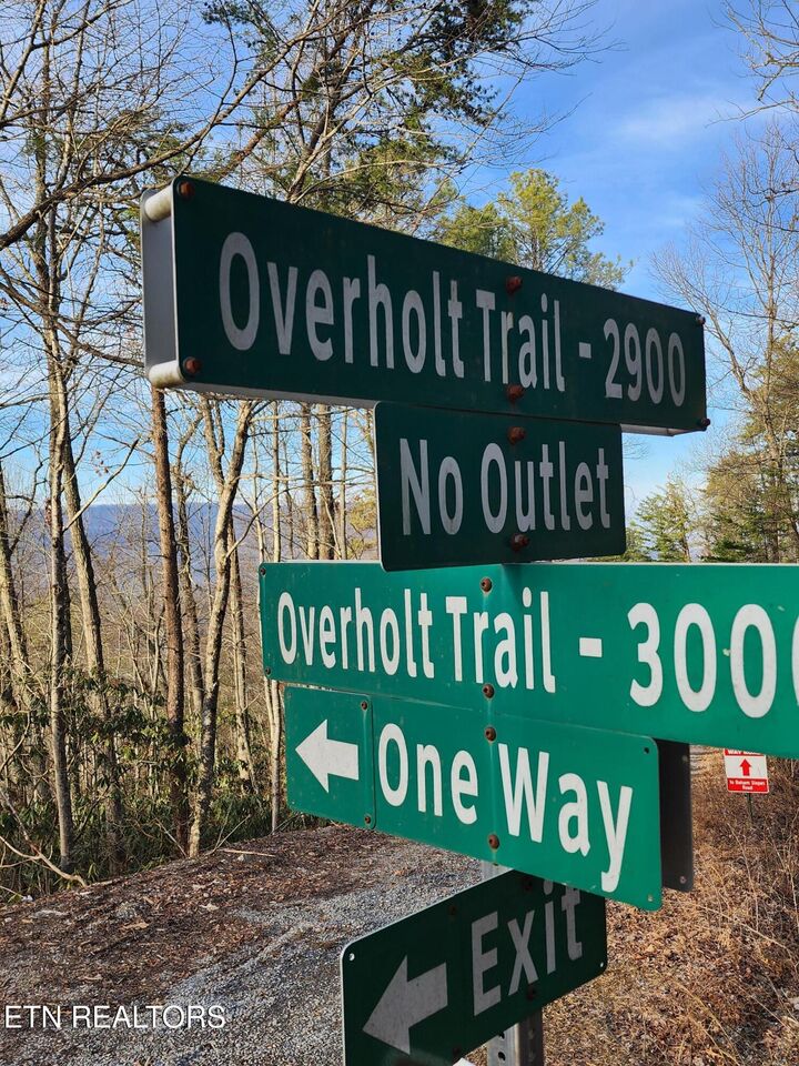 Property Photo:  3008 Overholt Trl Lot 8R  TN 37862 