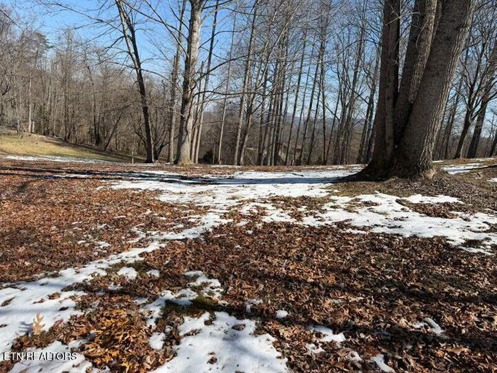 Property Photo:  000 Osborne Rd  KY 40977 