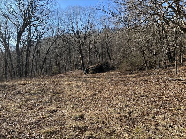 Property Photo: Terrapin Road AR 72601