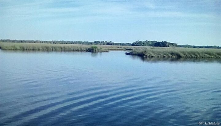 Property Photo: 11946 W Bald Eagle Court FL 34429