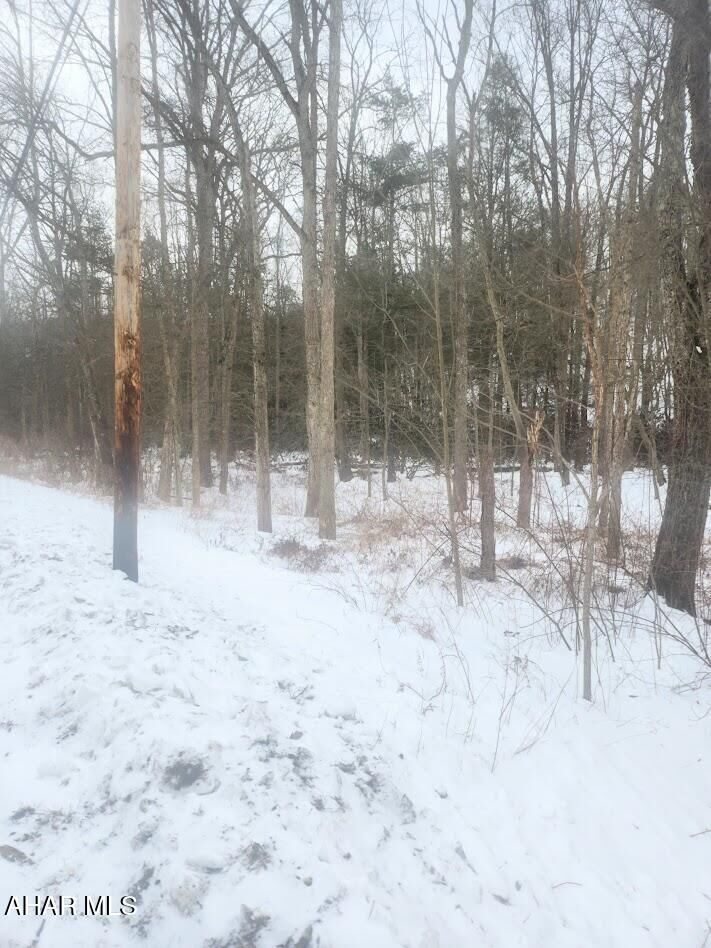 Property Photo:  0 Brush Creek Road  PA 15533 