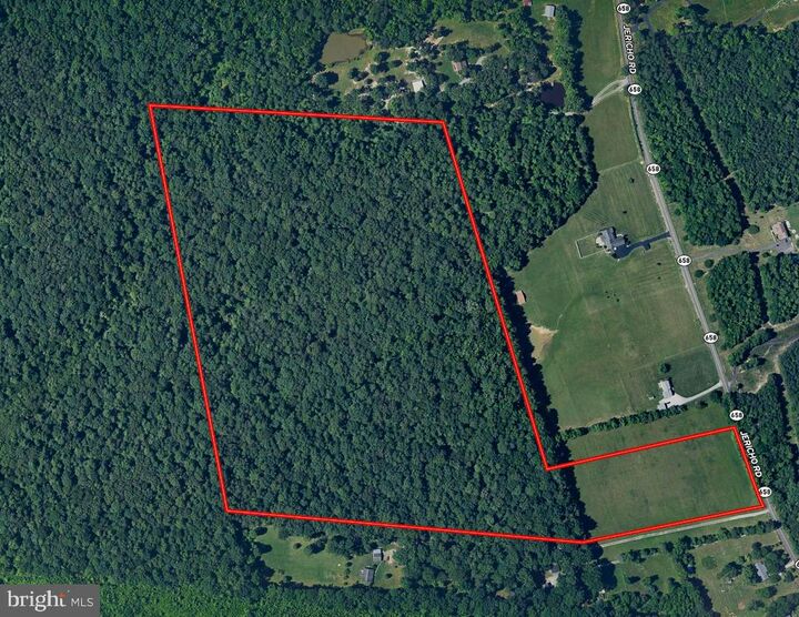 Property Photo: 49.26 Acres Jericho Road VA 22546