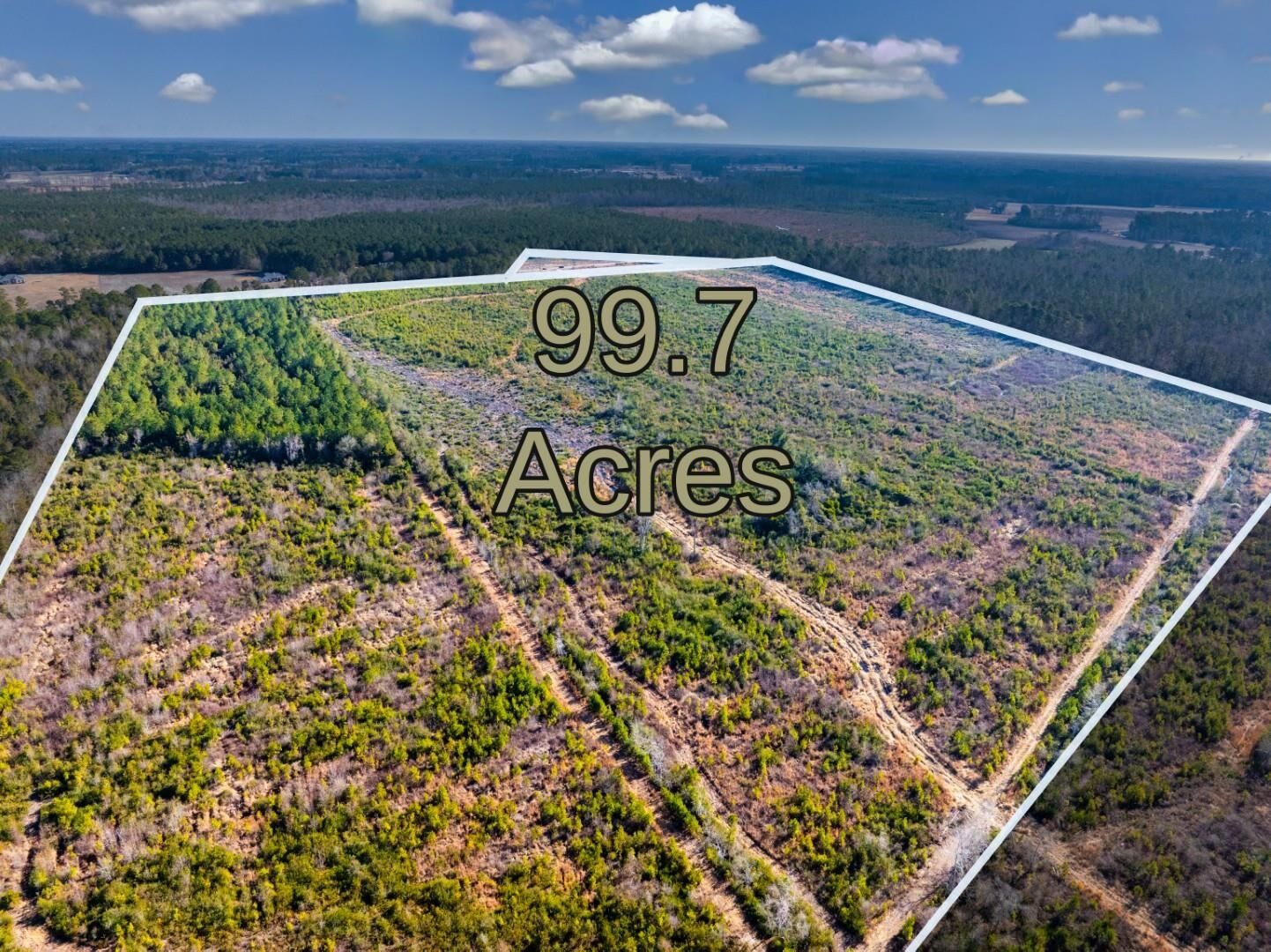 Property Photo:  100 Acres Fifteen Mile Bay Rd.  SC 29581 