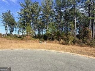 Property Photo: V/L 374 Beach Head Court GA 31548