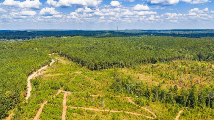 Property Photo:  51 +/- Acres Madwind Road  AL 36861 