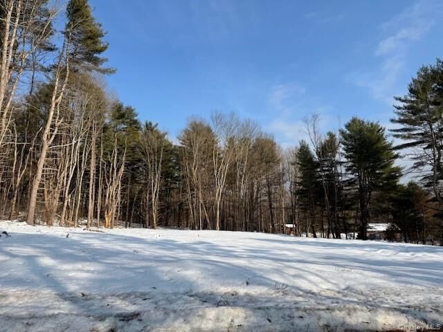 Property Photo: Lot 48.3 &Amp 48.2 High Road NY 12737