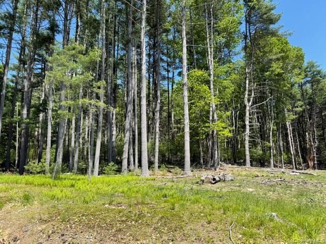 Property Photo:  Lot 48.3 &Amp 48.2 High Road  NY 12737 