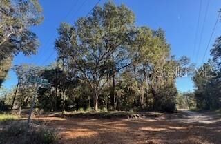 Property Photo:  Tbd NE 135 Avenue  FL 32134 