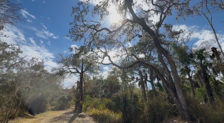 Property Photo:  4051-3803 Dixiana Drive  FL 33834 