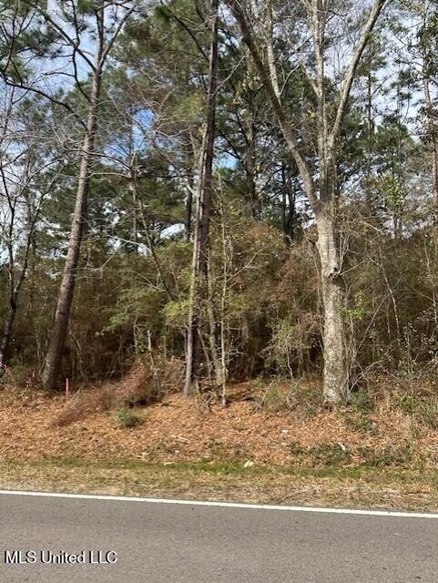 Property Photo:  Ms 53 Lot 11  MS 39503 