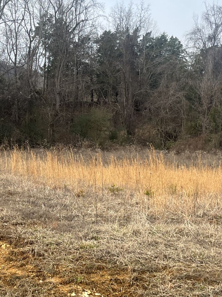 Property Photo:  0 Hidden River Rd  TN 38581 