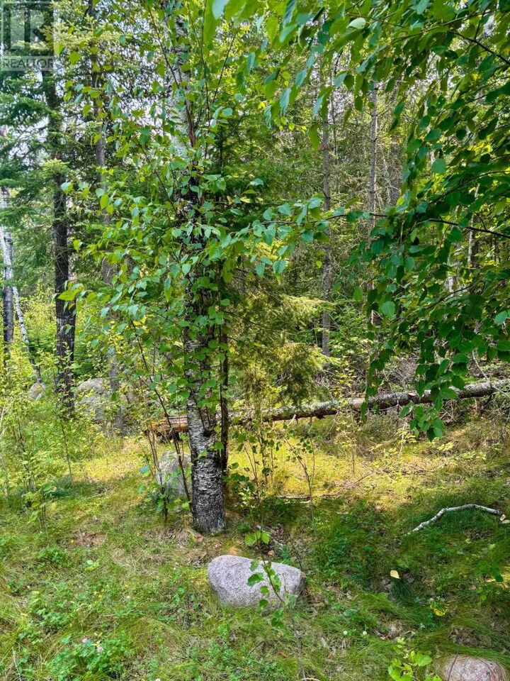 Photo de la propriété:  19 Castlerock Island, Queer Island 19  ON P0X 1H0 