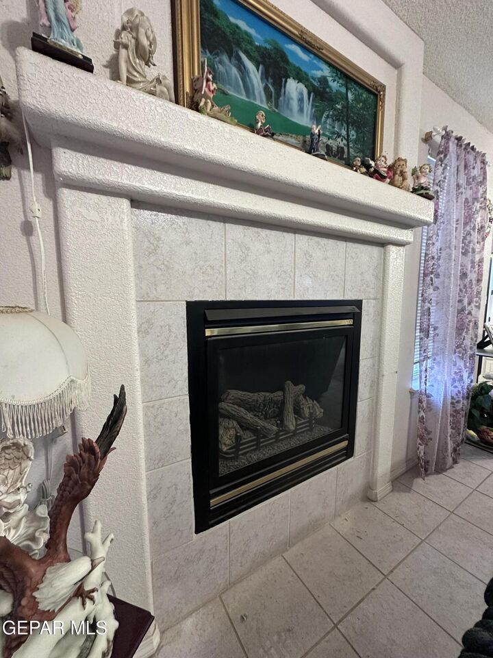 Property Photo:  3695 Prairie Rose Street  TX 79936 