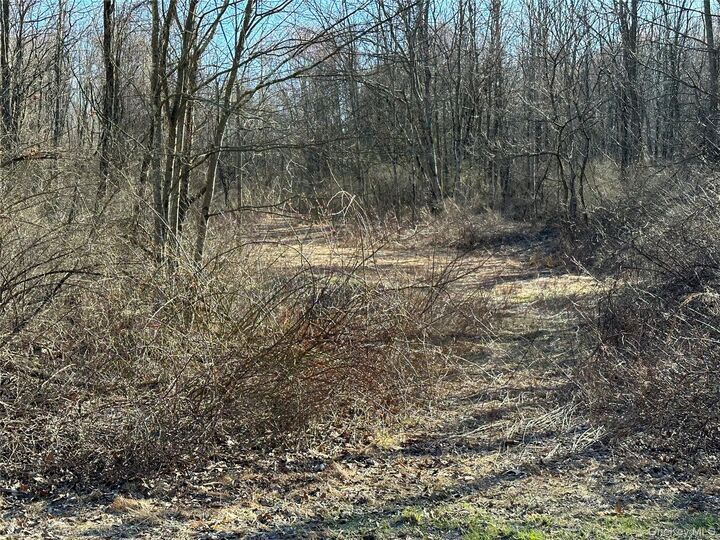Property Photo:  Schoolhouse Road  NY 12580 
