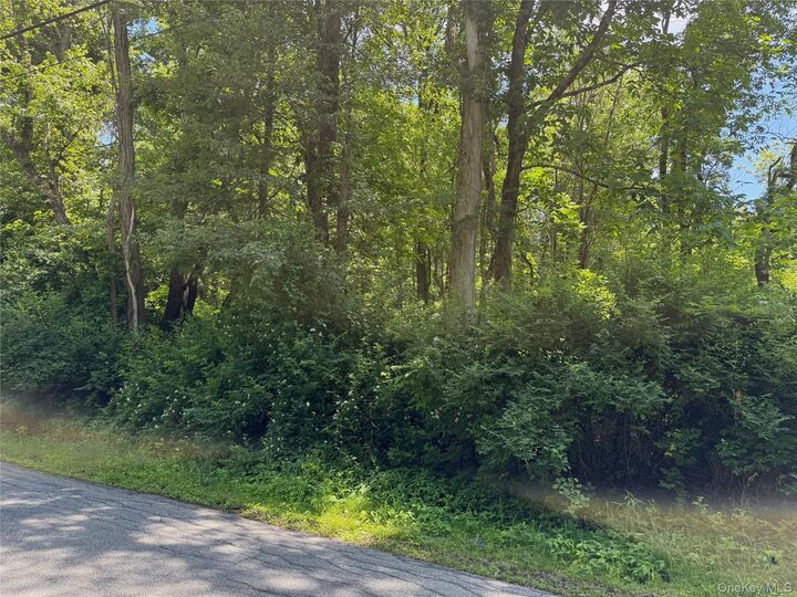 Property Photo: Schoolhouse Road NY 12580
