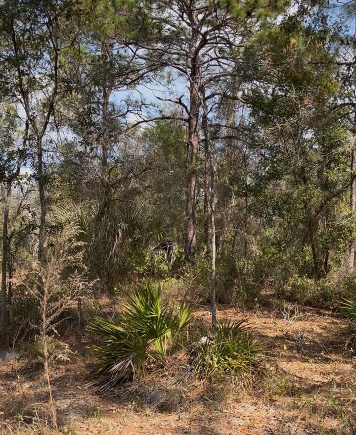 Property Photo: 12270 Peaceful Avenue FL 34614