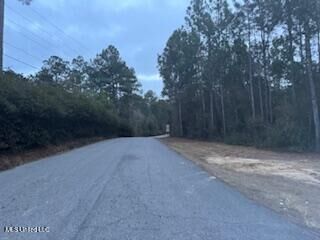 Property Photo:  Rouses Marina Road  MS 39565 