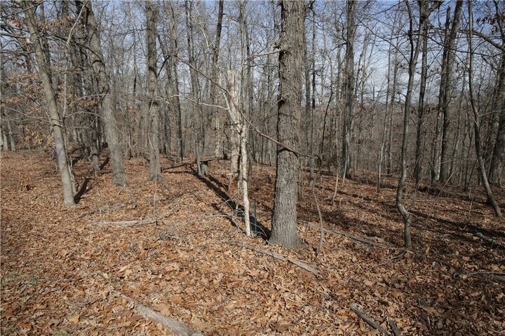 Property Photo:  Lot 2 Jimmy Lane  AR 72715 