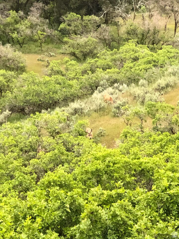 Property Photo:  541 S Left Fork Hobb Rd E 8  UT 84663 