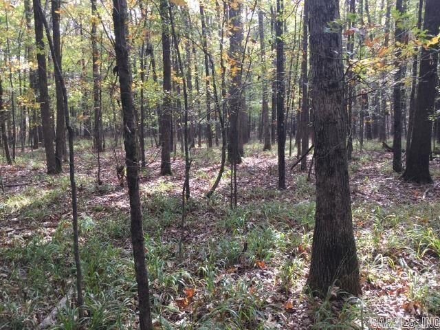 Property Photo: Unk Polk Road 293 AR 71953