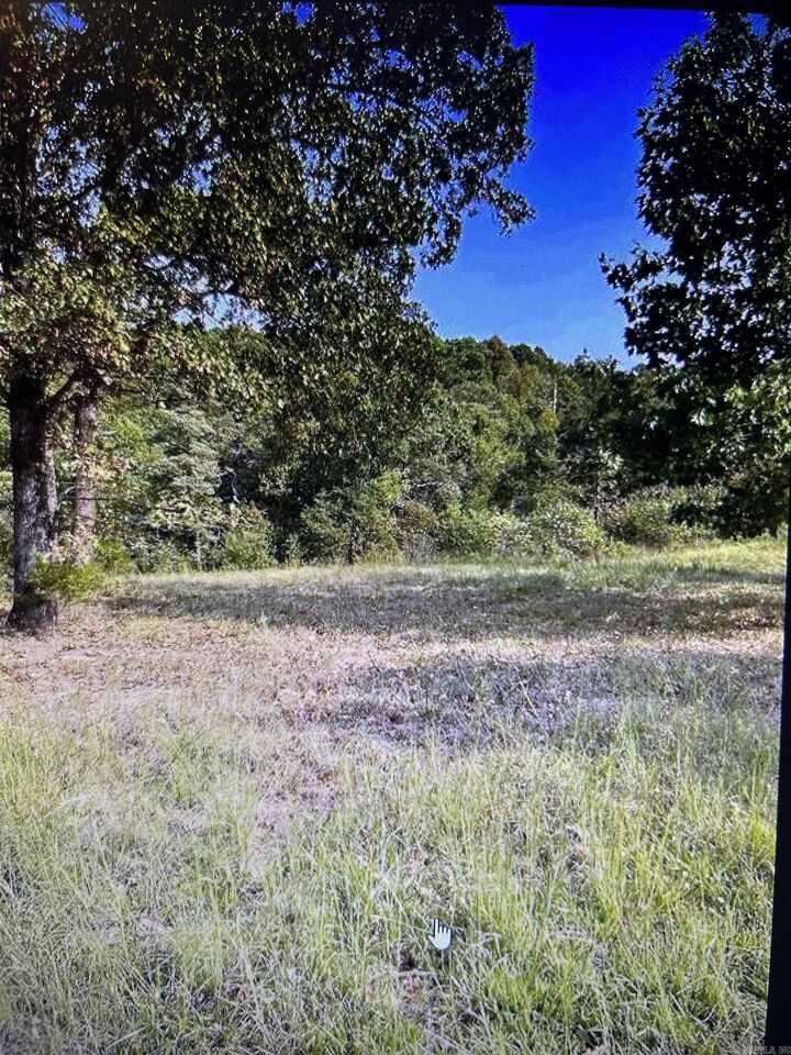 Property Photo:  0 Spears  AR 72058 