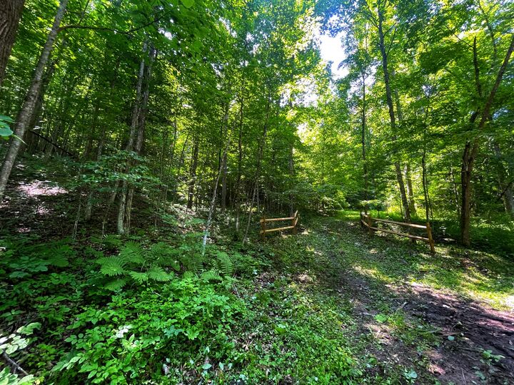 Property Photo:  Tbd Leonard Long Rd  WV 24966 
