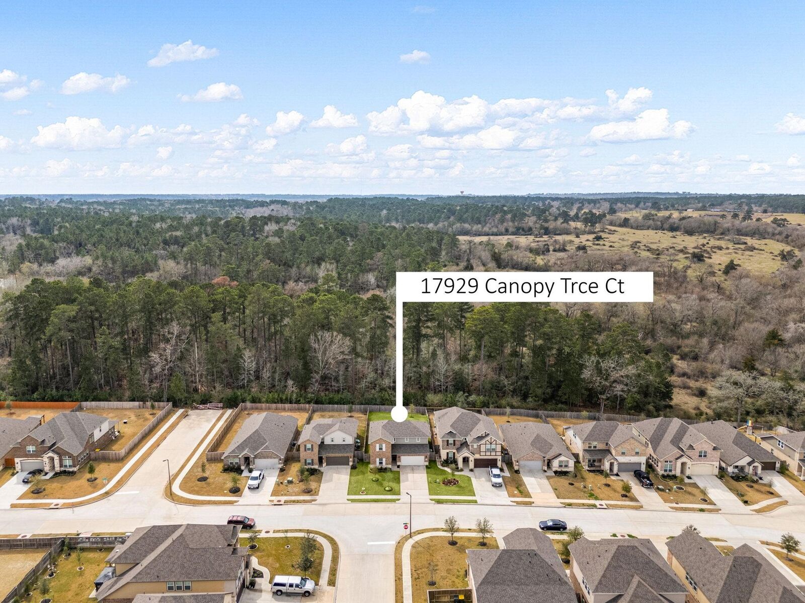 Property Photo:  17929 Canopy Trace Court  TX 77316 