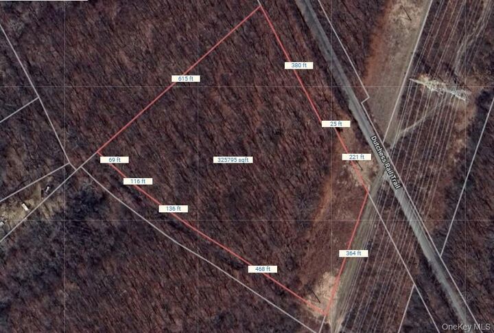 Property Photo:  Lot 372686 Rt-376  NY 12590 