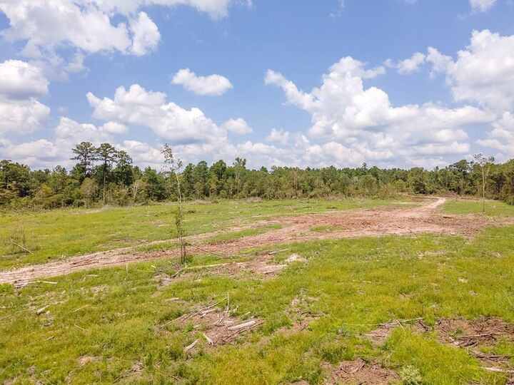 Property Photo:  R53358  Tract 2 Hwy 94  TX 75926 